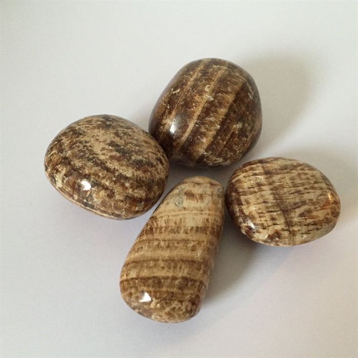 Aragonit Calcit Stribet