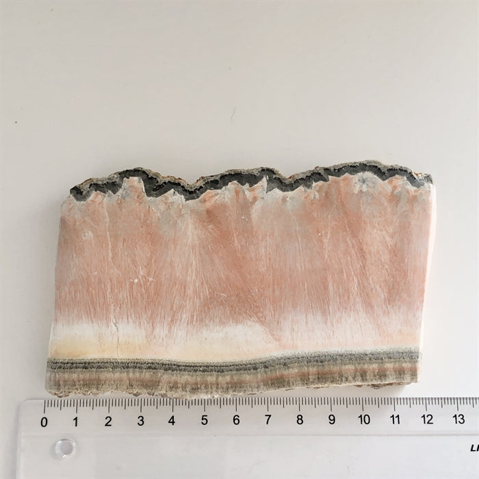 Celestobaryt Skive 12 cm