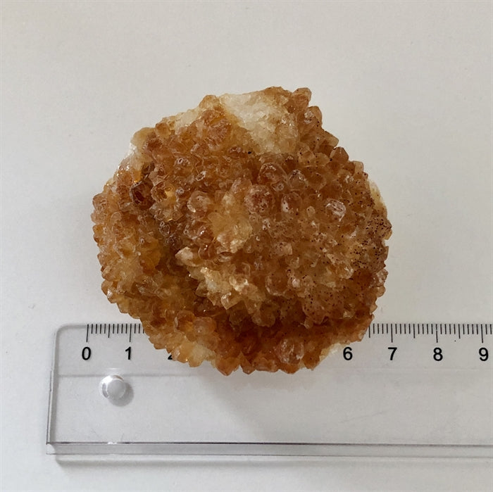 Citrin Brændt Klynge