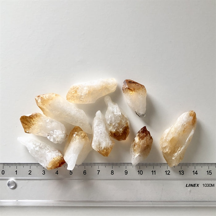 Citrin Brændt Tand Rå - Diverse 10 stk. Farver og størrelser varierer.