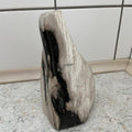 Forstenet Træ fra Indonesien. Højde 16 cm.