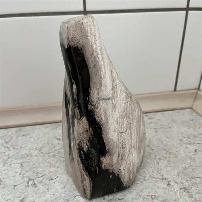 Forstenet Træ fra Indonesien. Højde 16 cm.