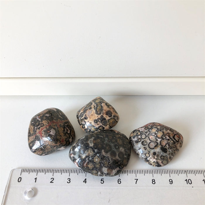 Jaspis Leopard A kvalitet