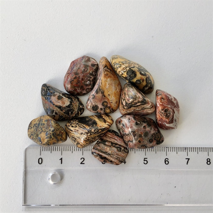Jaspis Leopard Små - Diverse 10 stk
