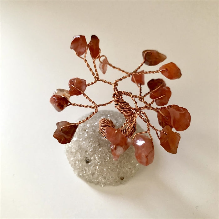 Karneol Stentræ 4,5 cm.