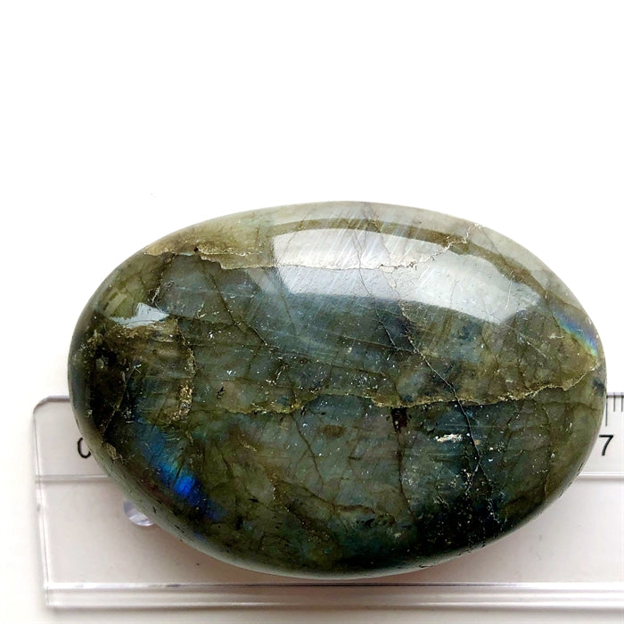 Labradorit Flash Flad 6,5 cm - Ujævnheder på kanten forekommer.