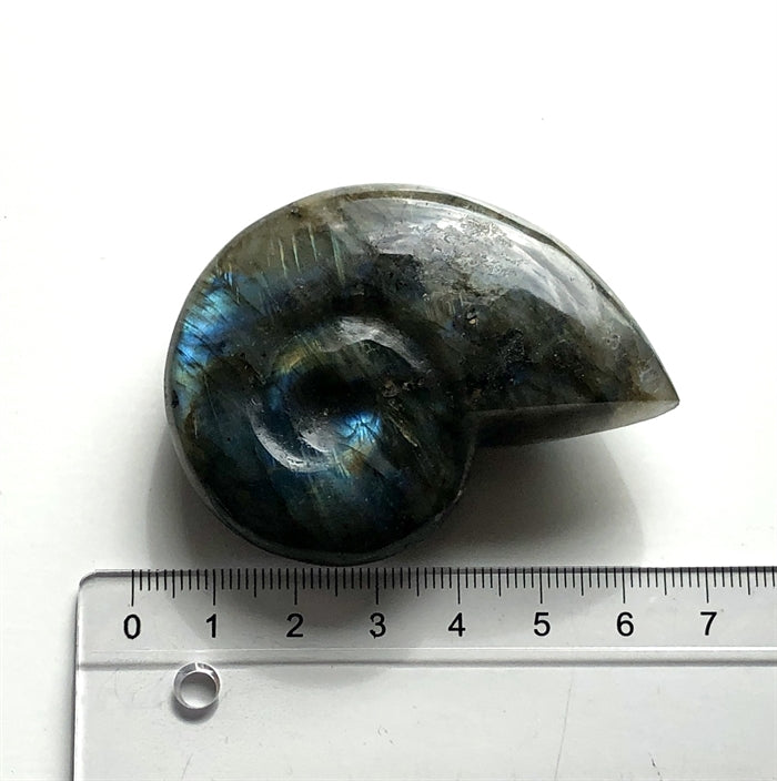 Labradorit Flash Snegl 6 cm.