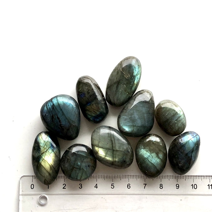 Labradorit Flash 2-2,5 cm.