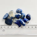 Lapis Lazuli 2-3 cm - Diverse 10 stk.