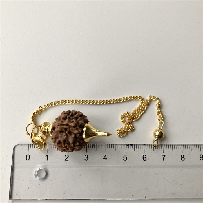 Pendul Rudraksha Guld