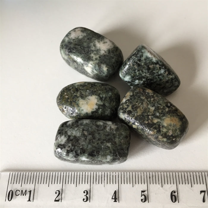 Preseli Stonehenge Bluestone