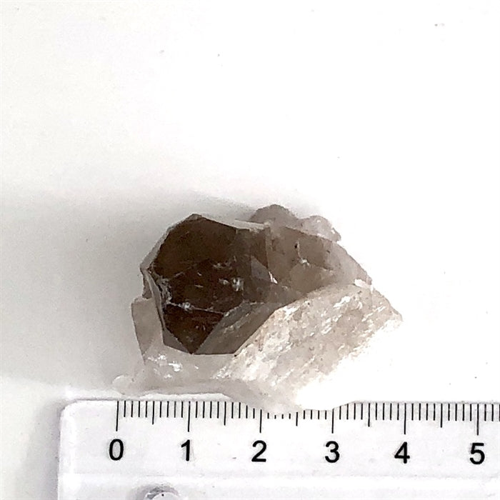 Røgkvarts Klynge