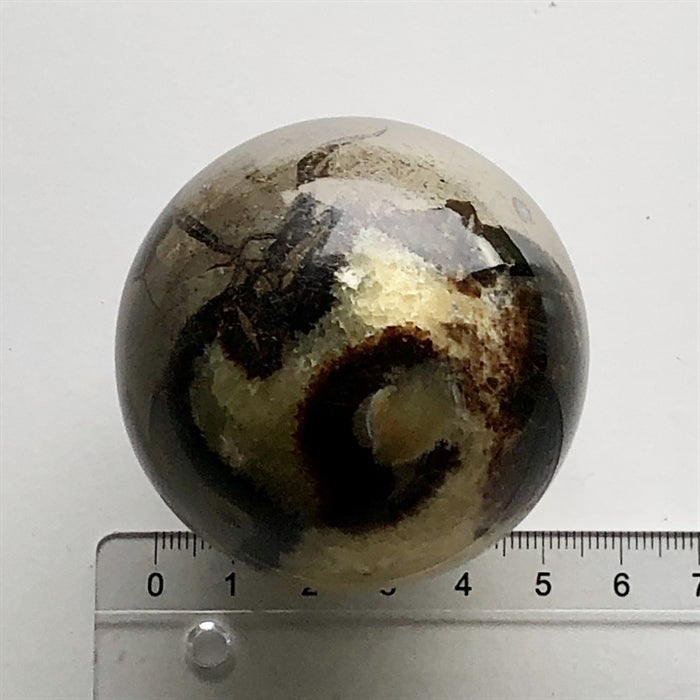 Septarie Kugle 5,5 cm
