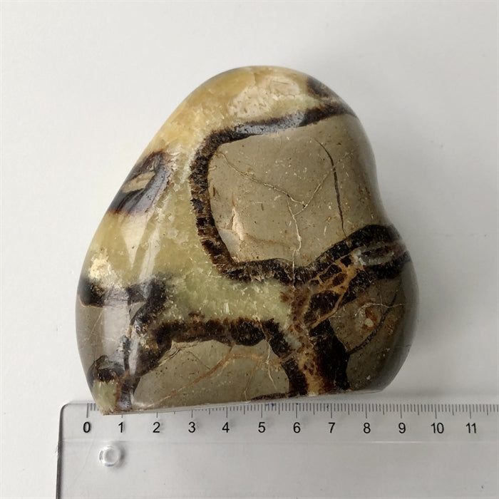 Septarie Unika Fri Form 9 cm