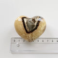 Septarie Hjerte 6,5 cm