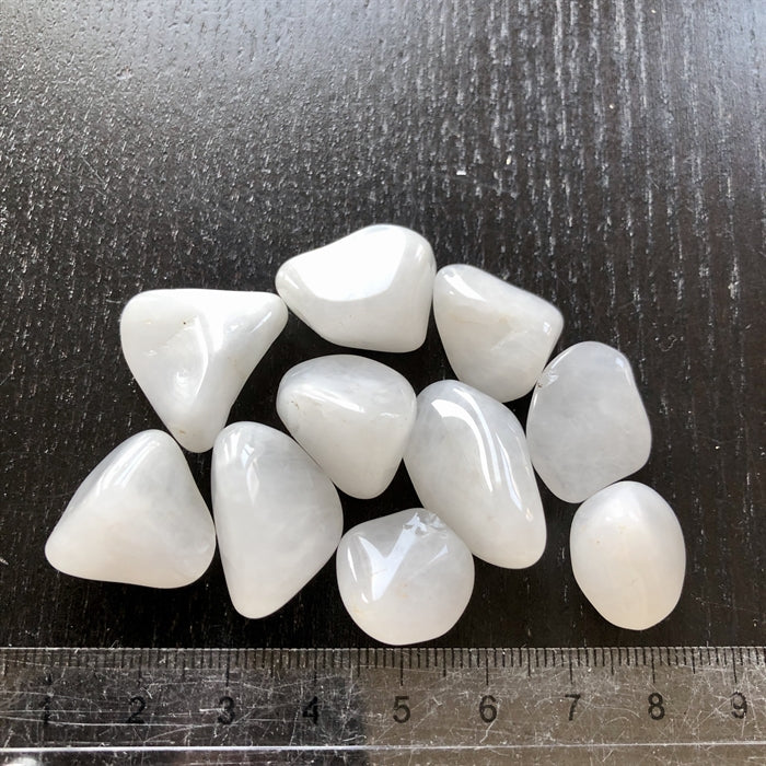 Snekvarts Små - Diverse 10 stk.